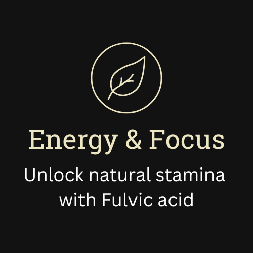 Eterna Shilajit - TWR Edition